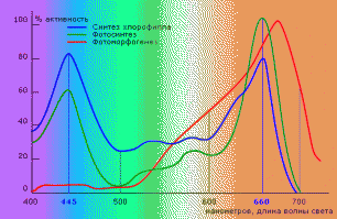 Почему трава зелёная?