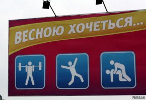 Маразмы месяца