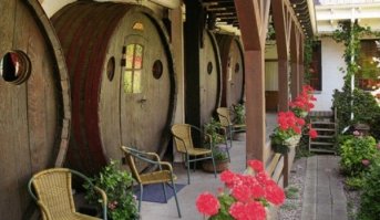 Почувствуй себя Диогеном - Эко-отель в гигантских винных бочках в Германии