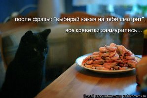 Будьте бдительны: в супермаркетах появились фальшивые креветки