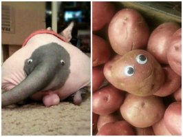 "Получил долгожданную посылочку и отправился хулиганить в торговый центр"