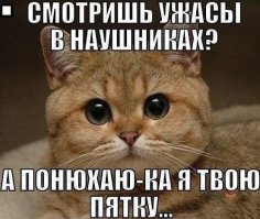 Смешные комментарии фишкян