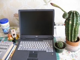 Ага, а чтобы снизить излучение нужно рядом кактус поставить...