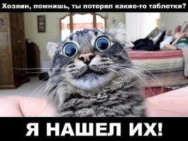 Автор ролика явно сидит на какой-то мега галактической шмали! :))