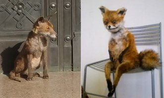 Кого только не встретишь на лондонских кладбищах