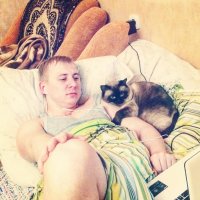 Даже у кота глаза грустные...