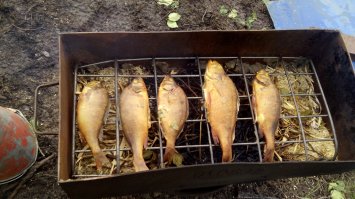 плюсую, но тоже хочу добавить. в щепу добавляем сахар, придает дополнительный цвет