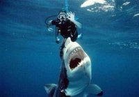 Эту акулу, куда только не пихали :)

Да и это фотошоп...:)