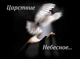 Имена 11 мальчиков и 3 девочек навсегда останутся в нашей памяти