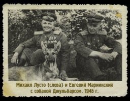 Героическая собака !