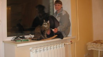 Я когда прихожу  и кошки и галк  по углам прячутся :))) Хоть  галку  я не пугал не разу в отличии от кошаков .
-А сама  хозайка их  чёт не записывает - моей матери через скайп показывает токо всё  это безобразие ))) Ну и я  через плечё подглядываю.  А чего записывать не  хочет я не знаю, типа примета плохая фоткать и  снимать на видео домашних любимцев я так подозреваю.
Вот фотка  одного из кошаков - но рядом  не хозайка )