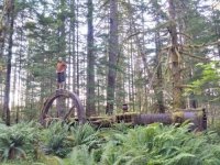 это от чего железо?