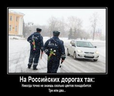 Свежая подборка автоприколов