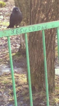 Фотоподборка за 21.06.2016