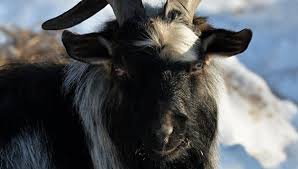 Мой секрет раскрыт ;)