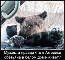 15 секретов, которых вы не знали о предыдущих президентах США