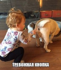 Прикольные картинки с надписями