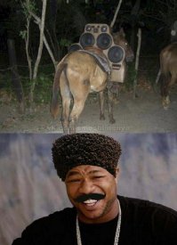 И все вокруг поняли,что едет далпаёп...