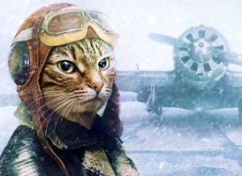 Есть еще коты авиаторы.