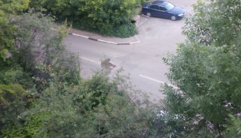 Да лан, в Балашихе подмосковной тоже так делают. :) Ночью вышел покурить и наблюдал, как чУдная тарантайка совершает странные манипуляции. Думаю, никак ямы таки решили заделать, не проехать жеж! Ан нет, с утра гляжу - разметочка свежая, прям поверх всех ям. :)
Та что на фото из моего окна видна.