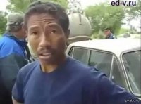 Реакция собаки на фильм ужасов