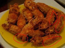 Автор нехороший человек,разводила низкого уровня.
Обратите внимание на выделенные части и сравните между "готовым блюдом" и медведкой.
Кстати,на медведку (земляную),которую еще называют капустянкой,мы ловили сомиков,это одно из его любимых лакомств