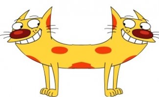 Кошки на заборе