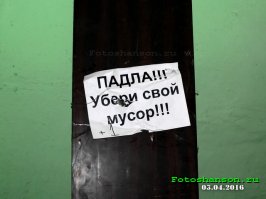 17 жизненных снимков, которые поймут все кому «повезло» с соседями