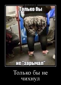 Смешные картинки