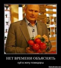 Ещё один рецепт на скорую руку : Печеные помидоры в собственном соку, берете помидоры небольшого размера, моете, посолить , поперчить по вкусу..... Хотя...