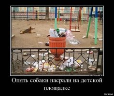 Самые дурацкие изобретения нашего времени