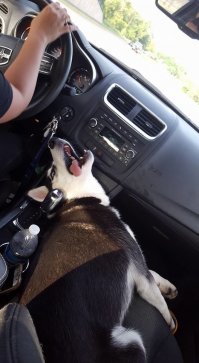 Когда рядом жены и начинаешь превышать скорость.