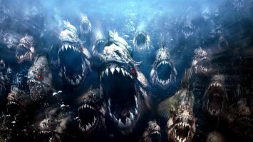 Думал будут показывать этих !!!