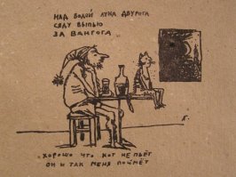 У вашего кота от этого голова пойдет кругом!