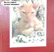 17 жизненных снимков, которые поймут все кому «повезло» с соседями