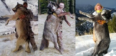 Кстати лютоволки не сильно больше реальных волков