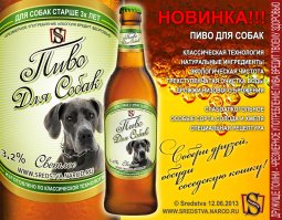 У вашего кота от этого голова пойдет кругом!