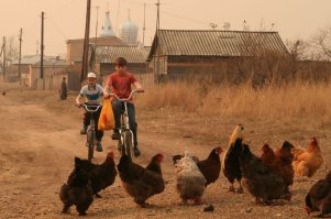 Муета пиндосская. Вот как надо лето проводить: