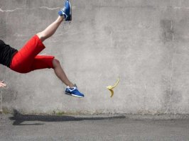 Повеселил момент с банановой кожурой. Самое главное что на морде ноль эмоций, следует вывод- не обижаются на срачь в доме.