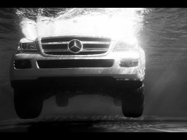 Скоро Мериндос выплывет на авто.ру со статусом "не бит, не крашен, гаражное хранение"