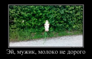 Битва двух титанов : Союзмолоко vs Россельхозназдор. Кто кого ?