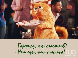 Сердитый кот обрел хозяев, но по-прежнему всем недоволен