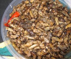 А вот земляная. Тушеная.