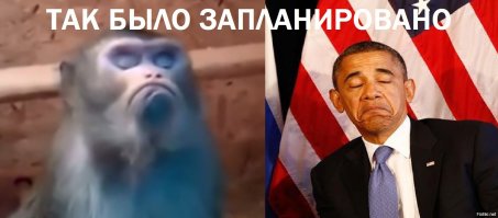 Прикольные сходства