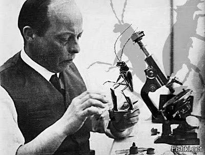 «Стрекоза и муравей», режиссер Владислав Старевич, 1913 - революционный кукольный мультфильм. Почти все, кто его смотрел в те годы, были уверены что это съемки настоящих насекомых и поражались тому, как это автор смог их так надрессировать.