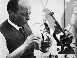 «Стрекоза и муравей», режиссер Владислав Старевич, 1913 - революционный кукольный мультфильм. Почти все, кто его смотрел в те годы, были уверены что это съемки настоящих насекомых и поражались тому, как это автор смог их так надрессировать.