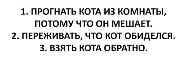 Смешные Картинки