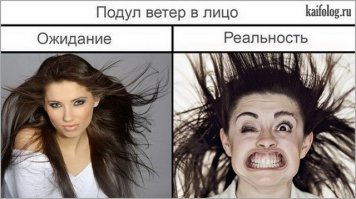 Смешные Картинки