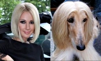 Прикольные сходства