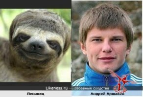 Прикольные сходства
